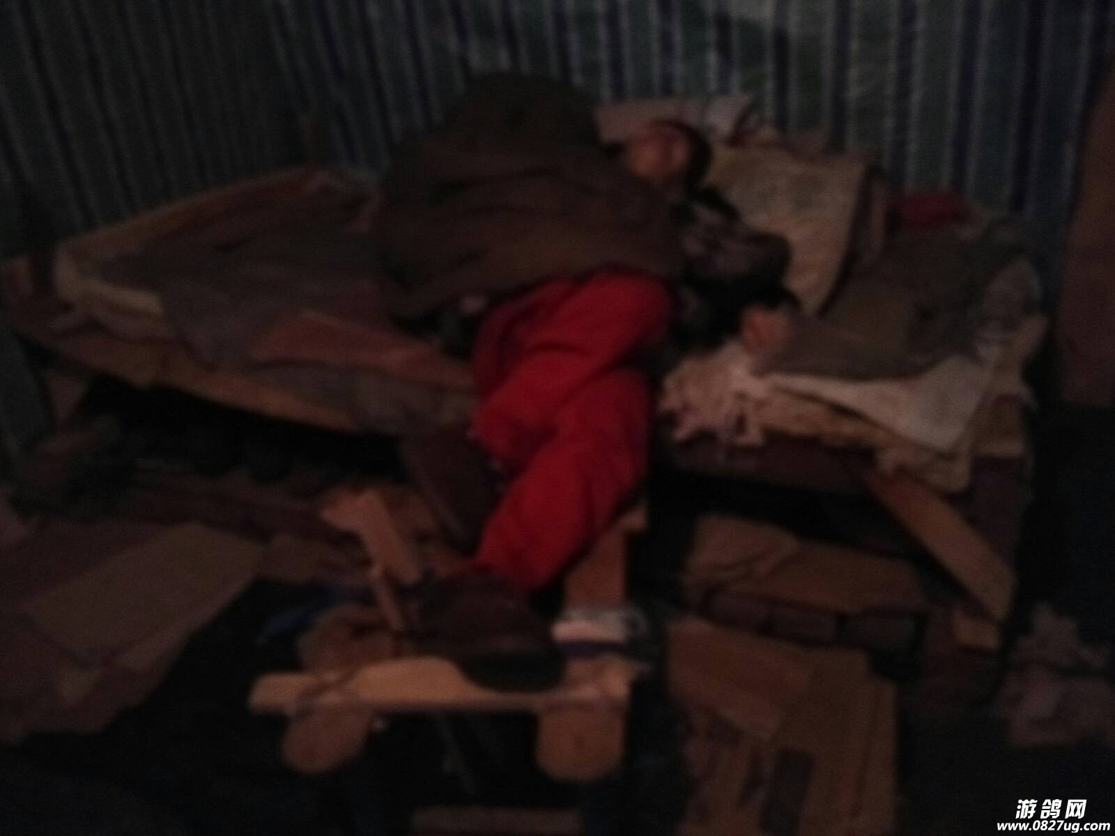 230743zxwdtph5pp5dpkfi.jpg