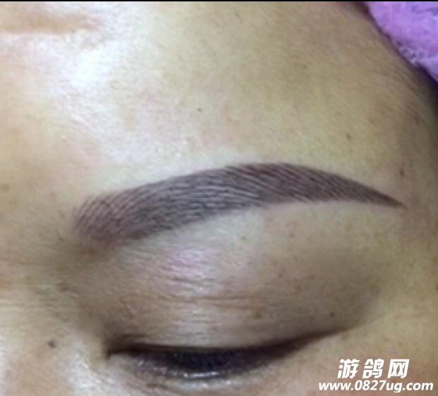 024410ditjvvilvpvc77rp.jpg