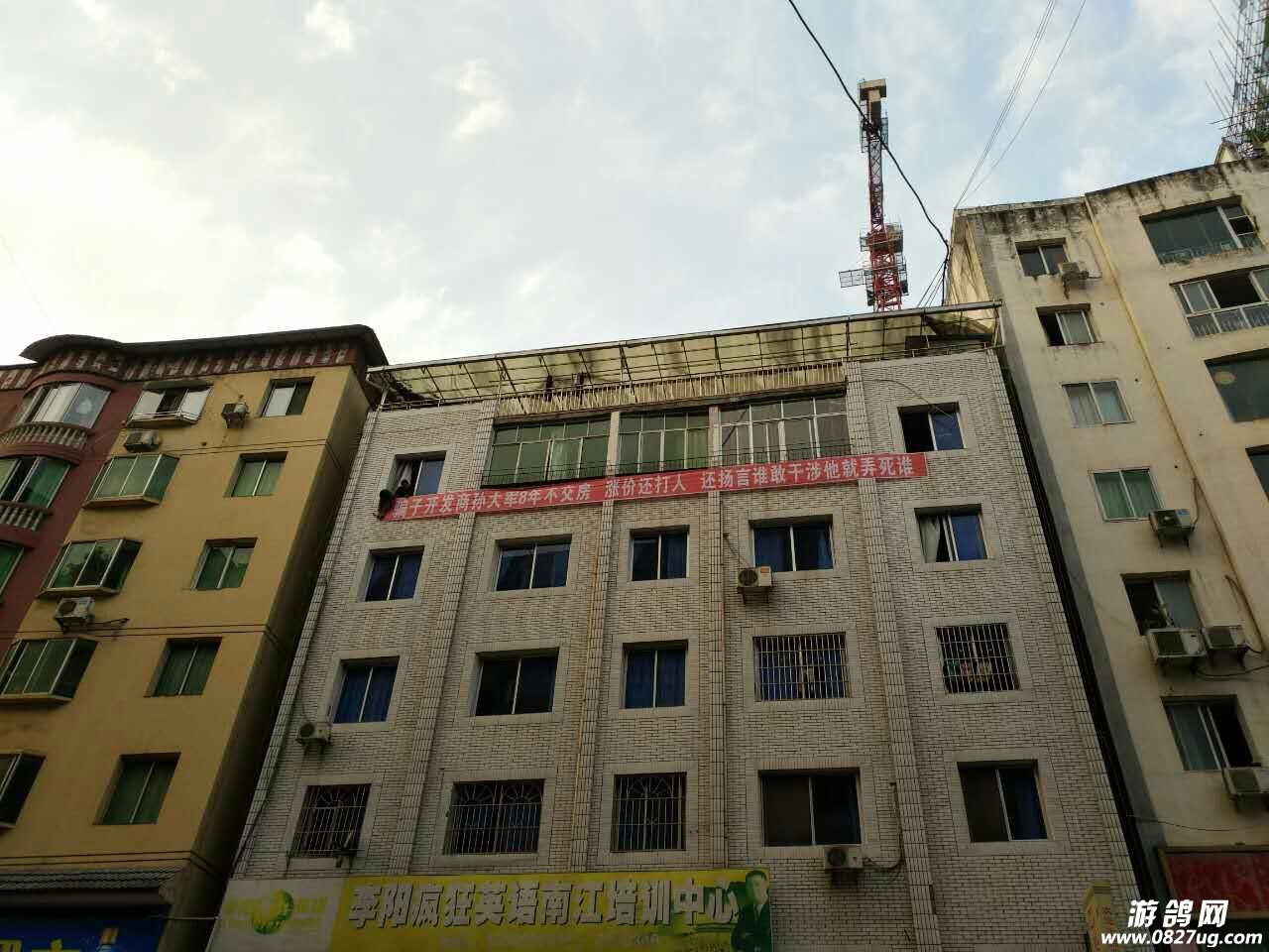 095321h88z5tzlq1lb3rop.jpg