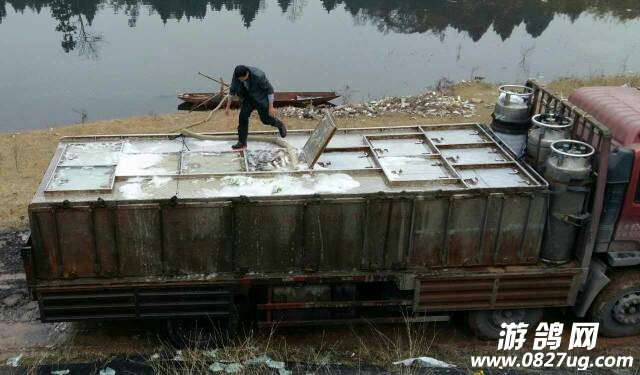 175938yldy8aquu2ixv8lw.jpg