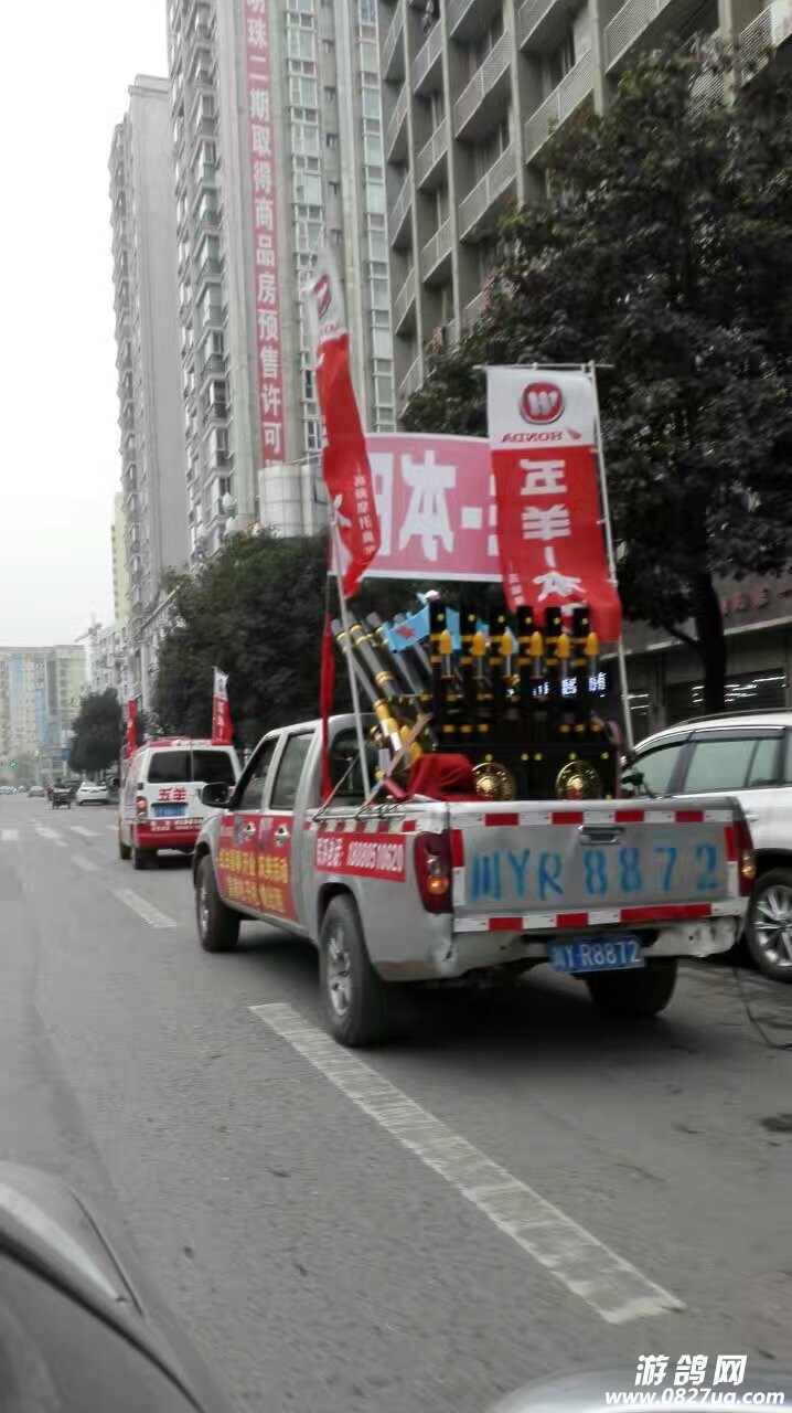 211755l2of0kpk0qd3dzeu.jpg