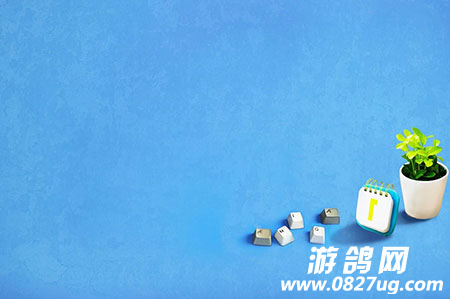 QQͼ20161218112607.png