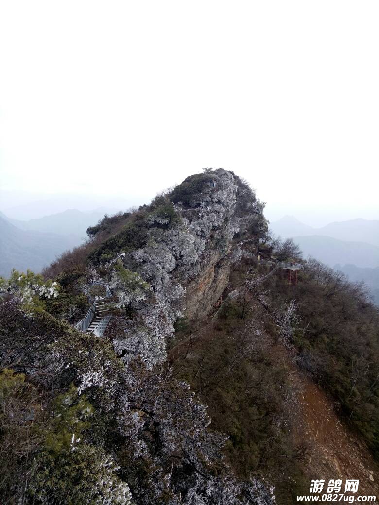 182458iffehrfzrzvjmmde.jpg
