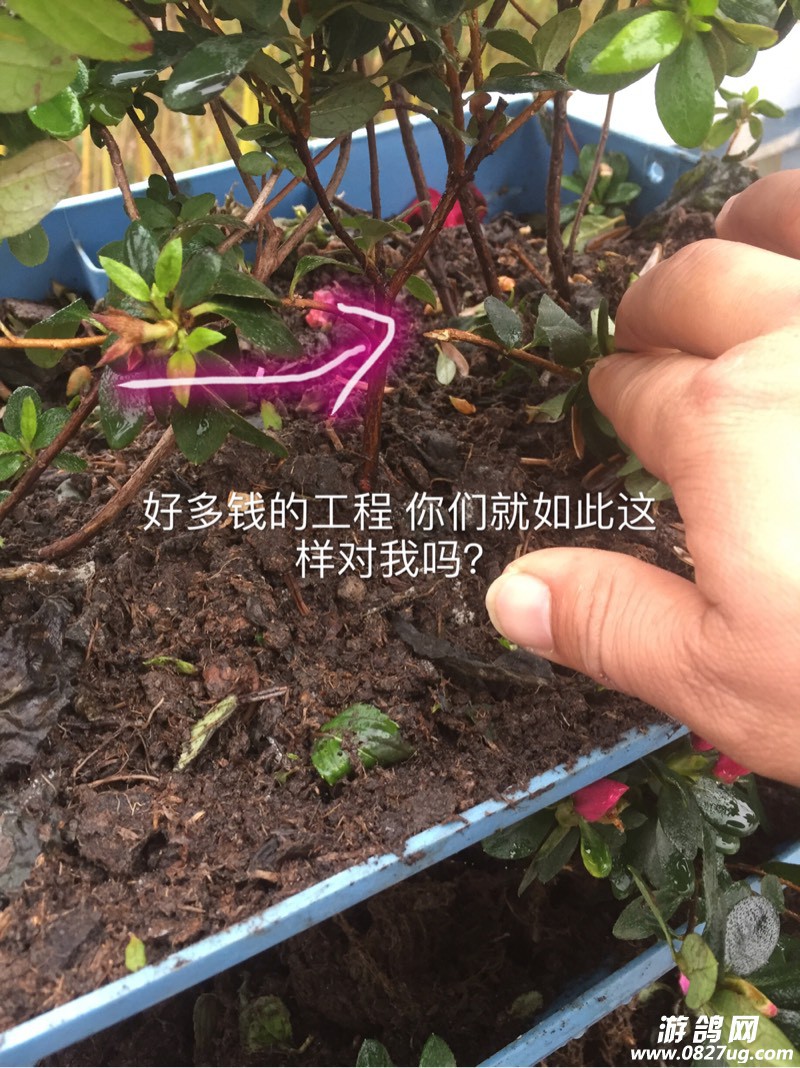 161924cj00bvst91cjgol0.jpg