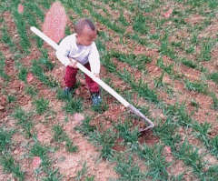 3.gif