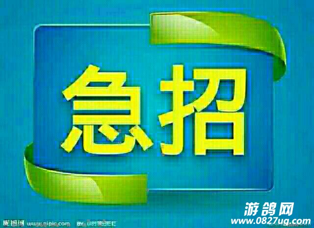 155757ayp4mphmamp7h4y7.jpg