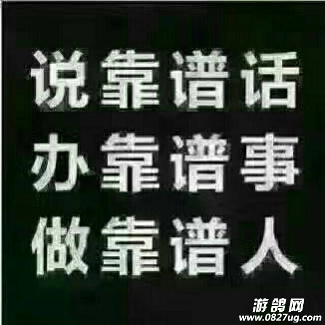 155758odsngtg3s6vavn5g.jpg