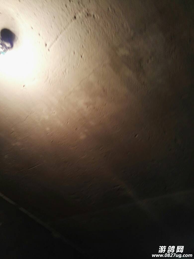 221705rrpdfzd5rdndwid4.jpg
