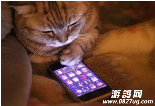 QQͼ20161228161038.png