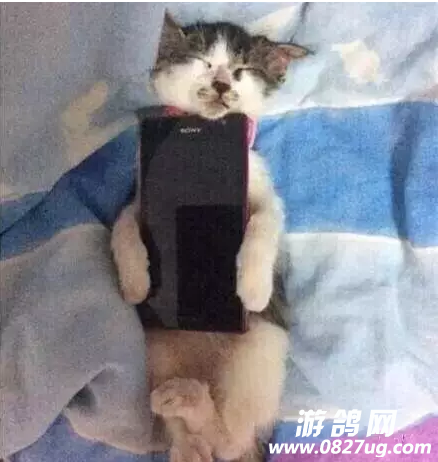 QQͼ20161228161153.png