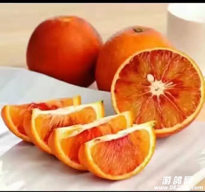 105831t43fhbmhss5szphz.jpg
