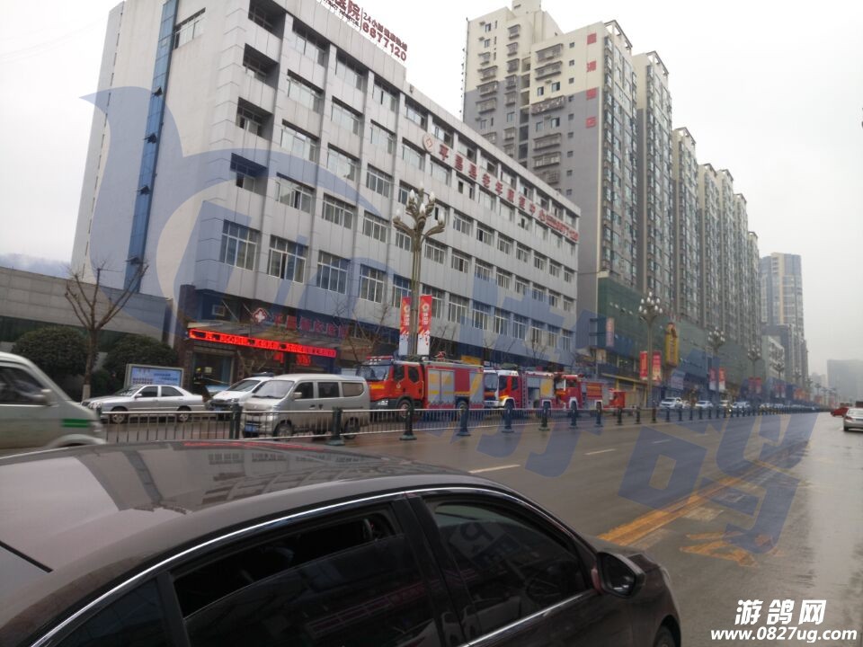 QQ图片20170106100251.jpg