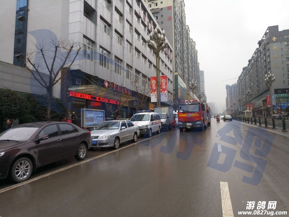 QQ图片20170106100300.jpg