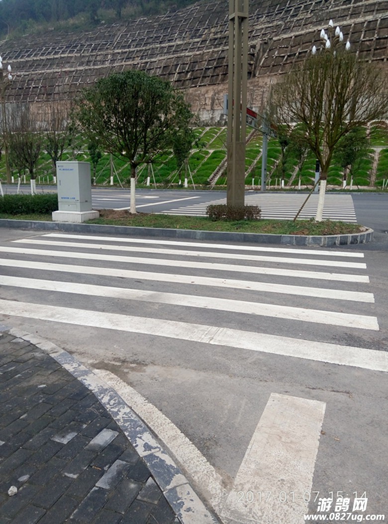 P70107-151418_.jpg