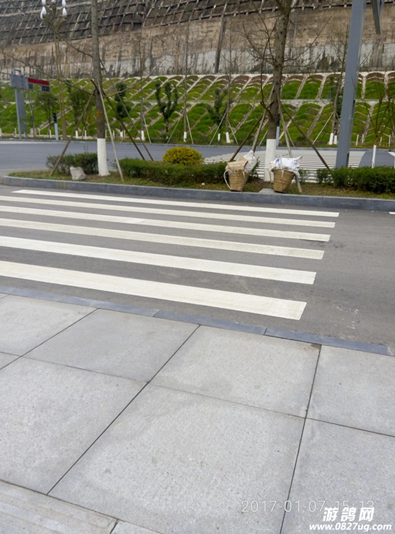 P70107-151342_.jpg