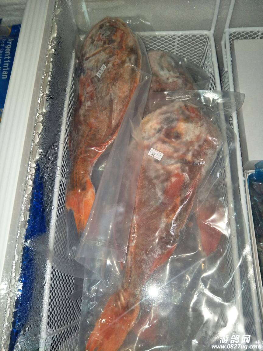150800ozne4jana2a8zm3d.jpg