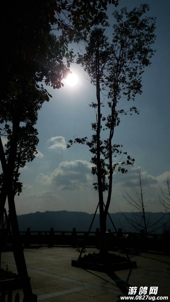 150138t5l5umm5556ffml9.jpg