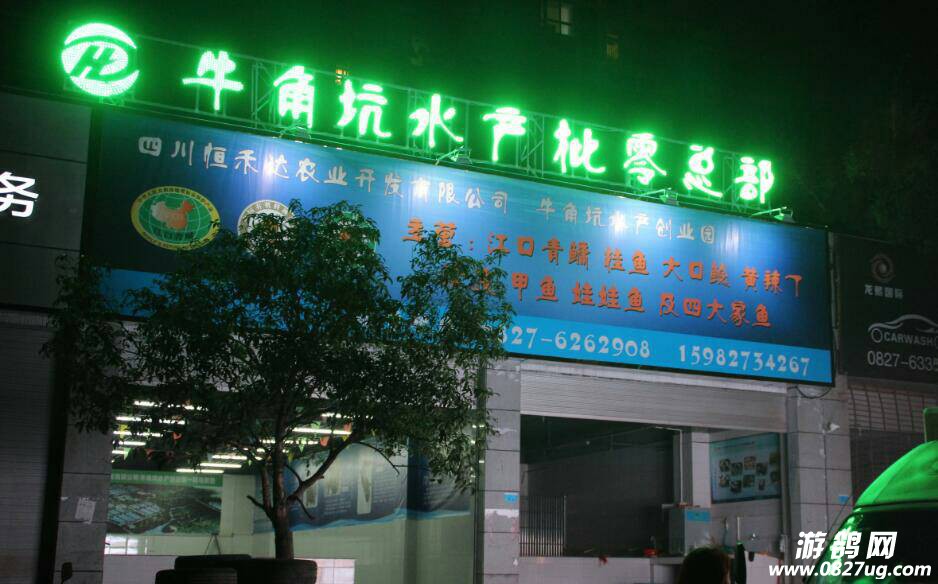103329vqqd61txq55nnasq.jpg