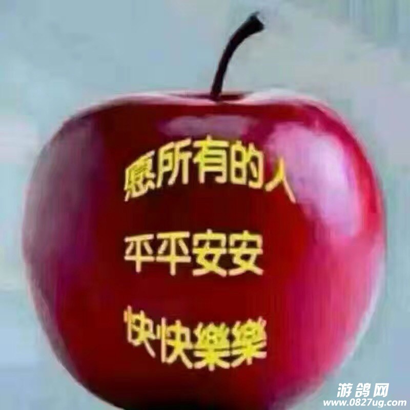 114752j9gme1viv1be1euf.jpg