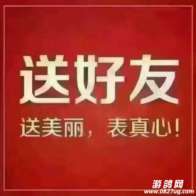 144007pse8tcchcqdcjzhj.jpg