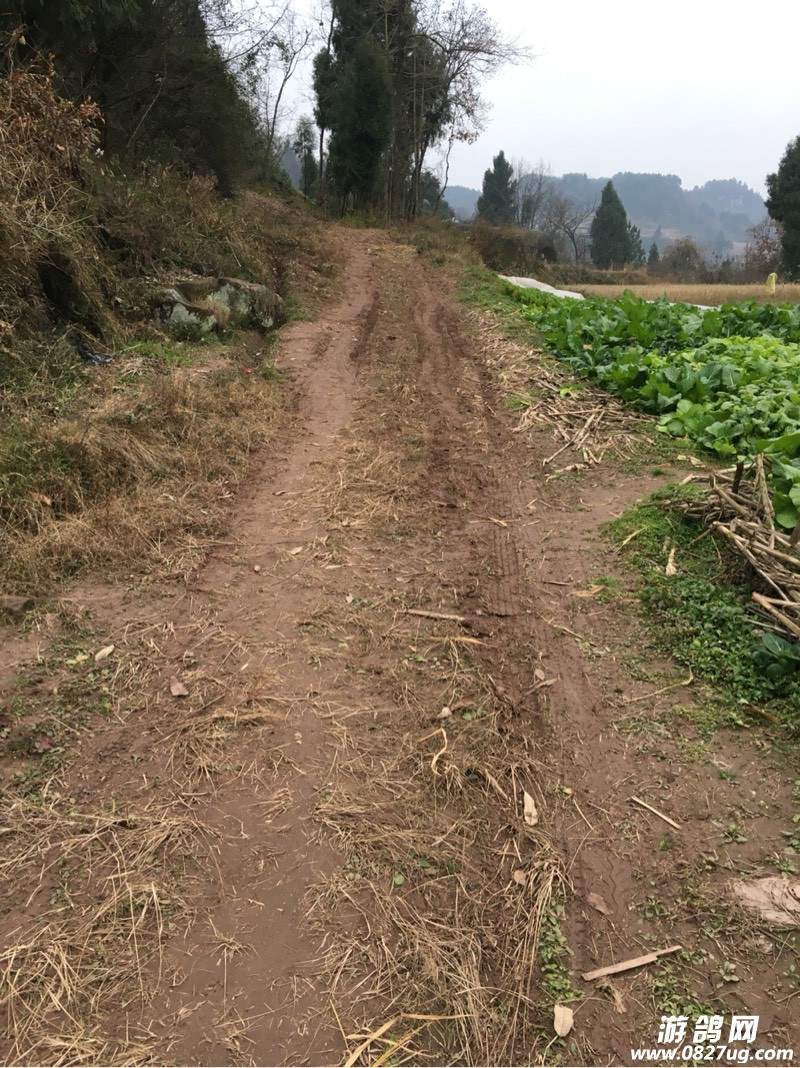 180718r6bs92za6nmn9n15.jpg