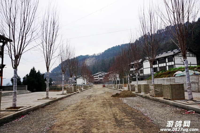 DSC04378_conew1.jpg