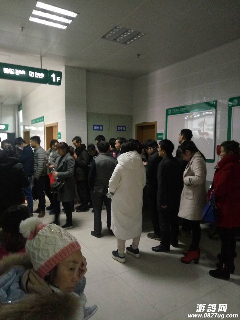 142013qx3veugigogh40hu.jpg