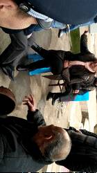 092806t2jlgpohlea7e2ph.gif