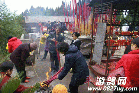 20170210_083512_018.gif