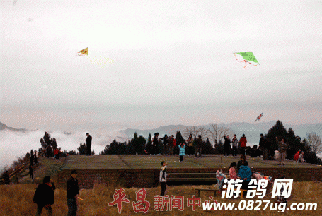 20170210_083512_022.gif