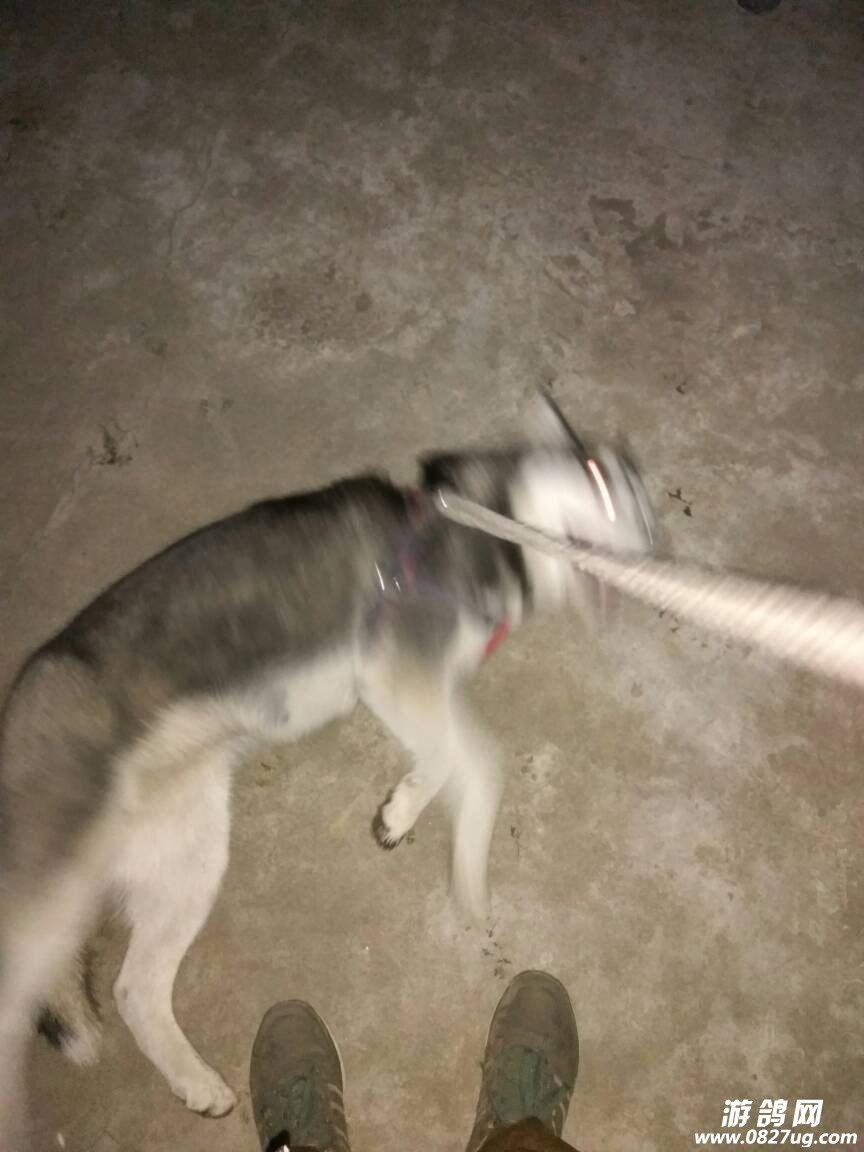 191111ywm8b835p3djmmwc.jpg