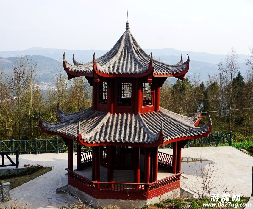 DSC04399_conew1.jpg