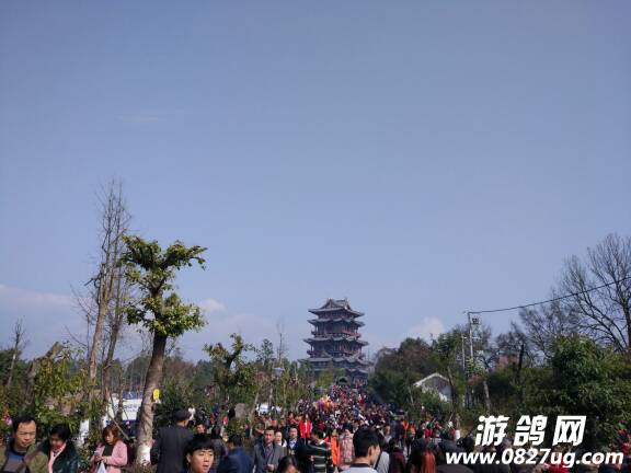 190333ntccntompdddzpn0.jpg