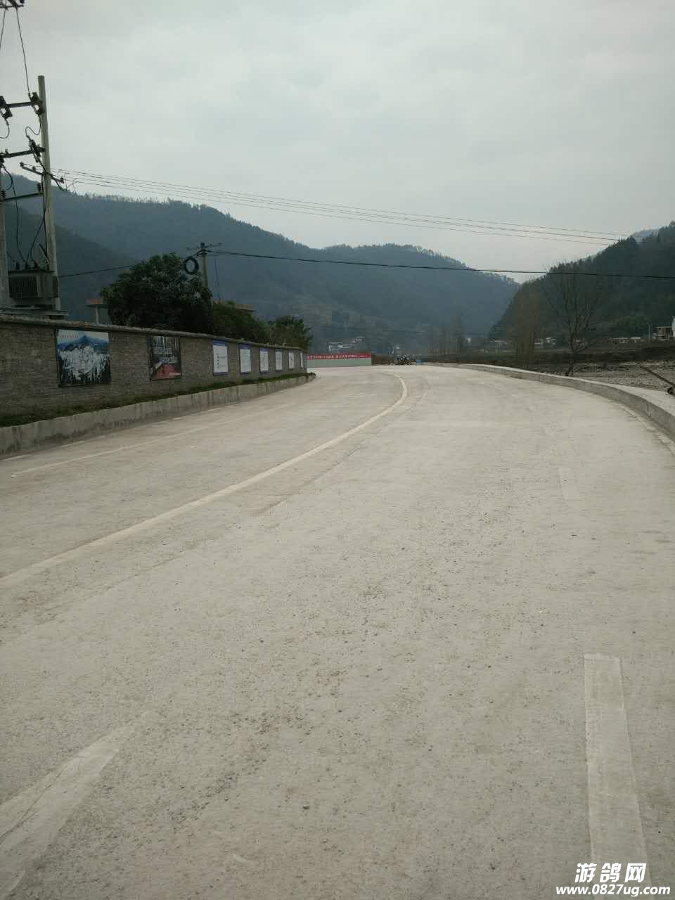 212725q6zkdg46yzasrgik.JPG