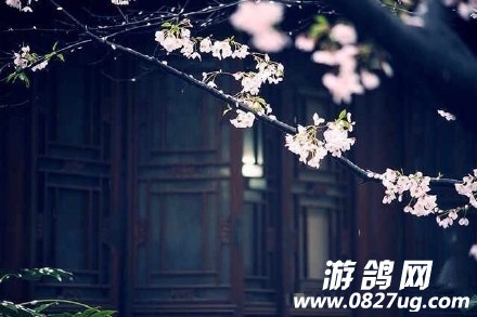 9613a279gy1fcw9cnplotj20c8085wf5.jpg