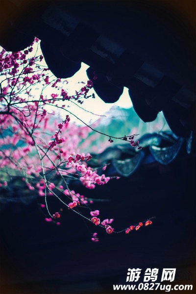 9613a279gy1fcw9cxaz9uj20b40gowg6.jpg