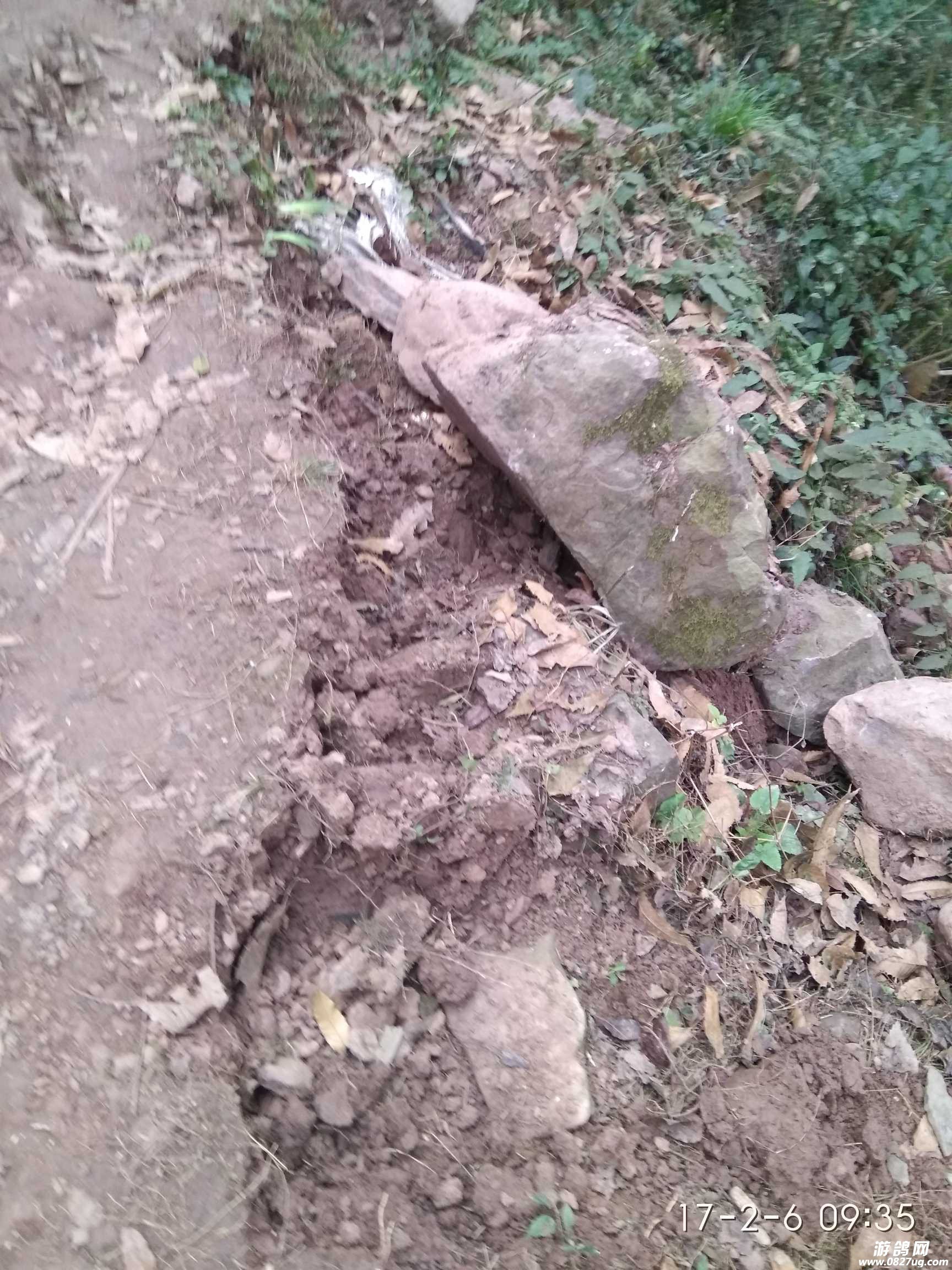 041345iuhhc14zbobupuog.jpg