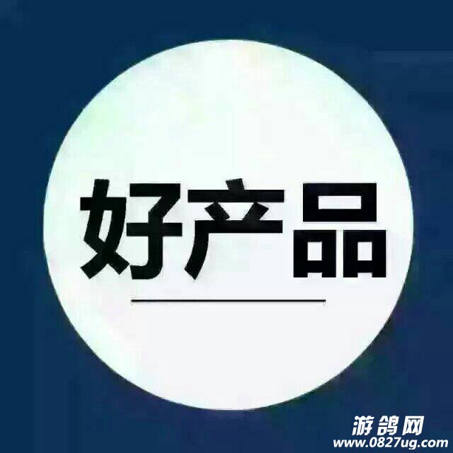 081450so3xobblu0lzhy3o.jpeg