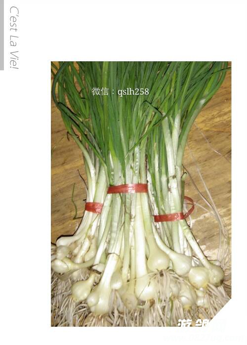 213954f0jzshnq7n1zo1no.jpg