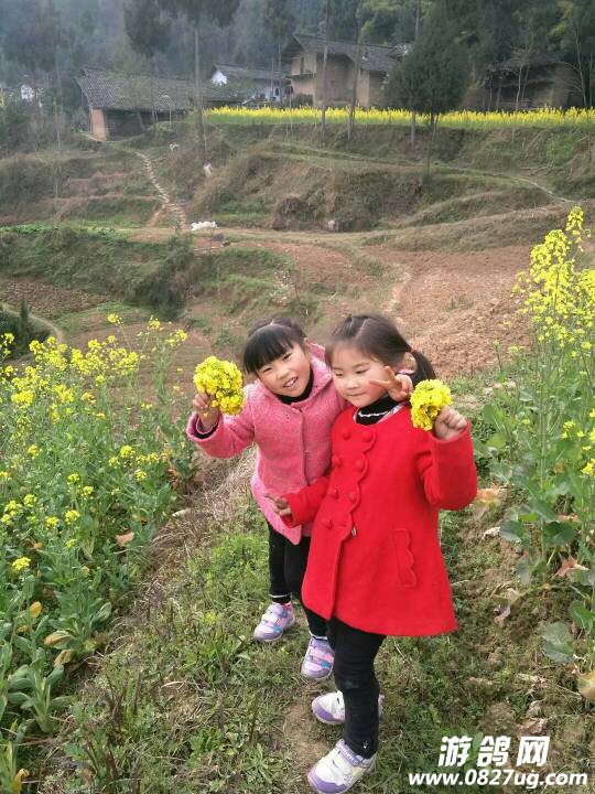 115324xee1ve65px6oey58.jpeg