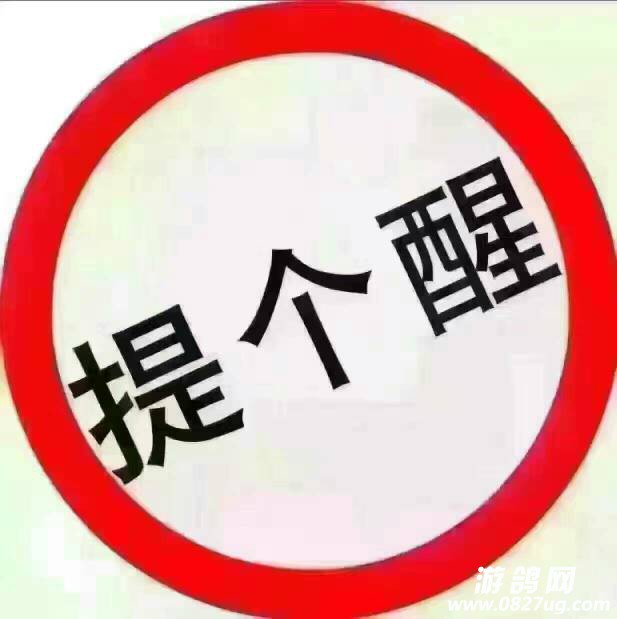 151316bpuiky4iua4j99tk.jpg