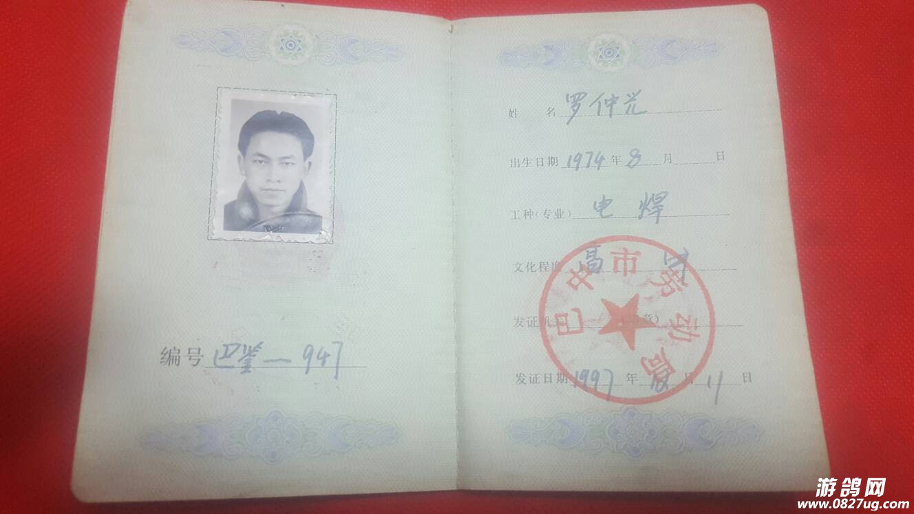 211124o0hh45ml4qcmrumm.jpg