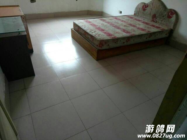 134134p5s53dioqqs8ypiy.jpg
