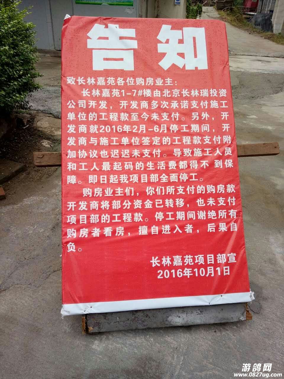 152328oz8833y0y49899ll.jpg