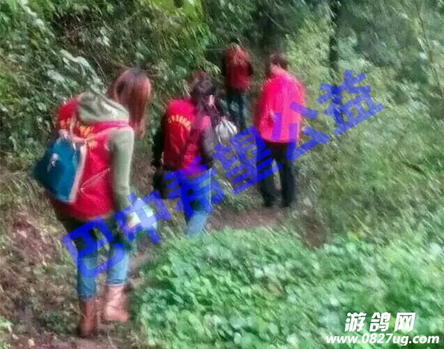 QQ图片20170311165011.jpg