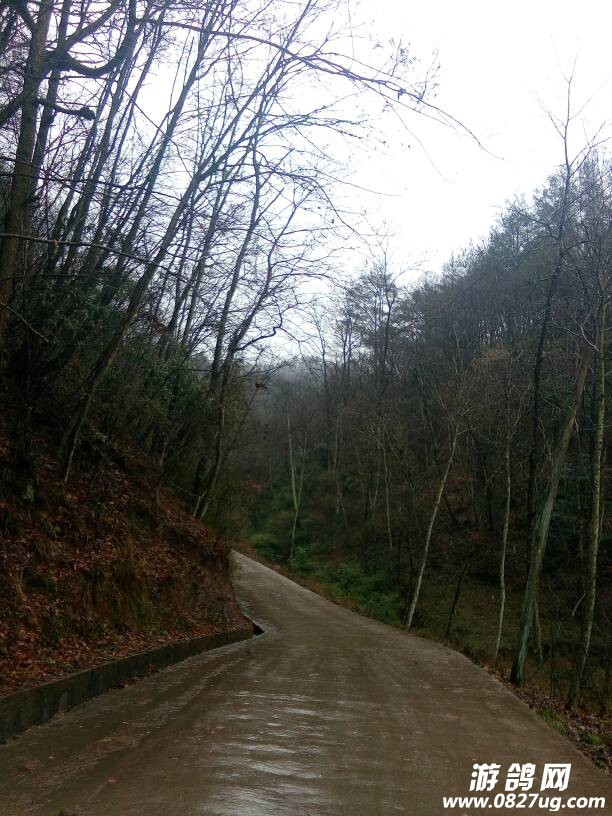 131249pnfzsygqau9a1cak.jpg