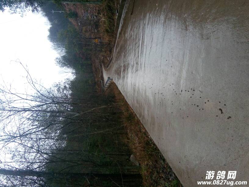 131249qtpmdmmkl2glk9m6.jpg
