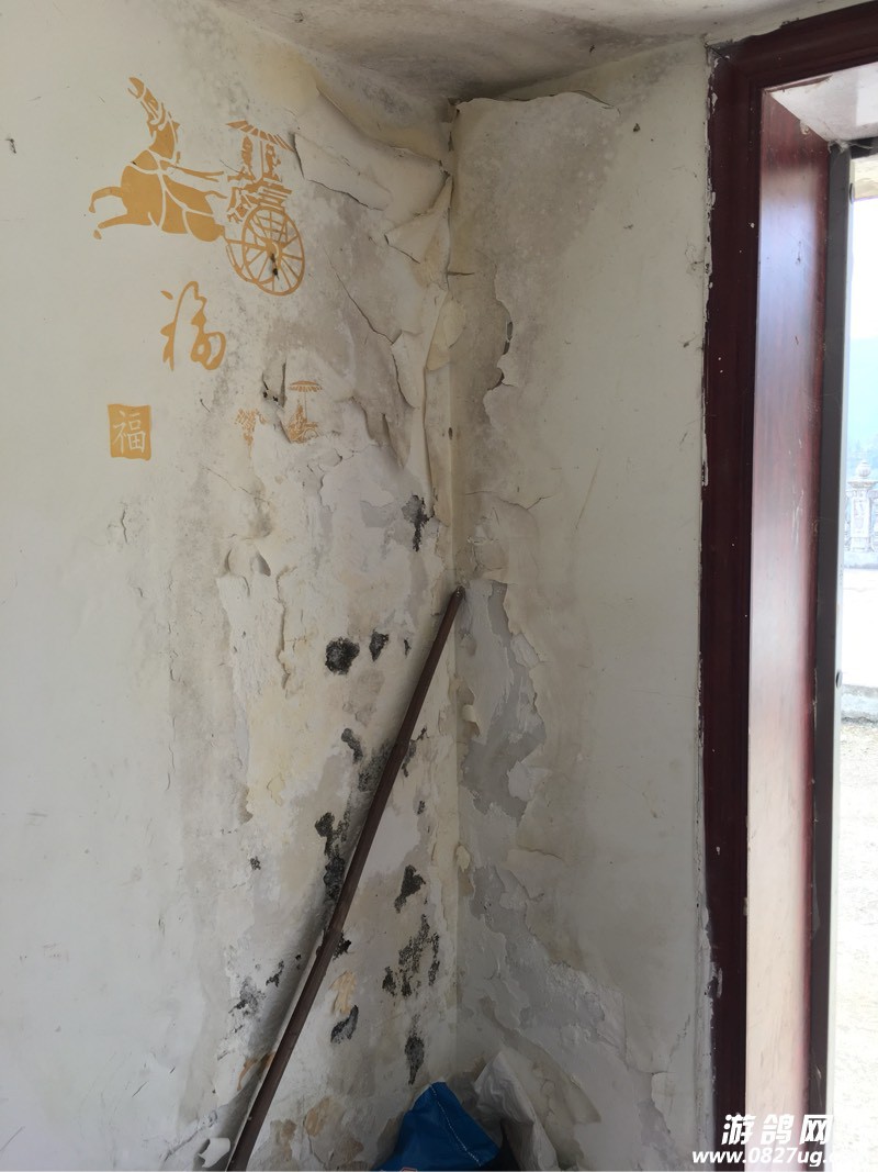 161825hlkccy9q88by98bc.jpg