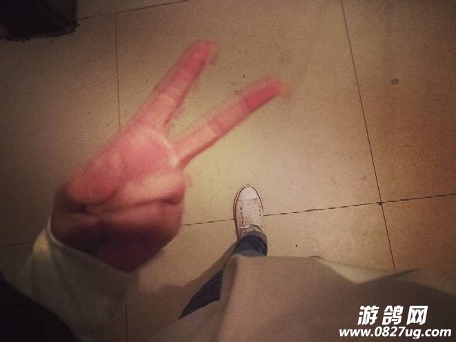 131045p1wyua3jwvhuo39v.jpg