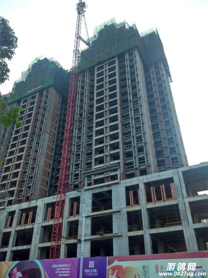 072832gct990jkjc9c96zj.jpg